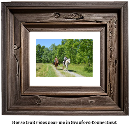 horse trail rides near me in Branford, Connecticut